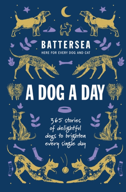 Battersea Dogs and Cats Home  A Dog a Day