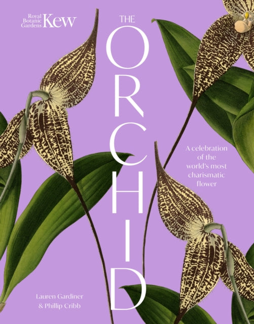 The Orchid Royal Botanic Gardens Kew