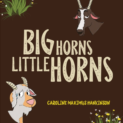 Big Horns Little Horns