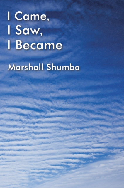 I Came I Saw I Became