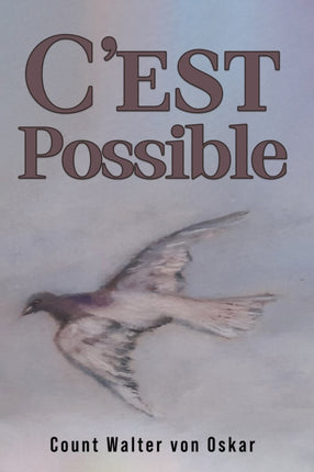 C'est Possible