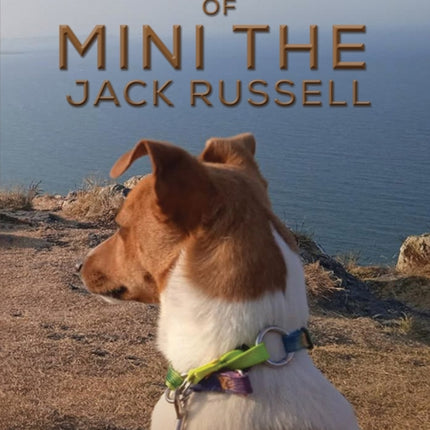 The Adventures of Mini the Jack Russell