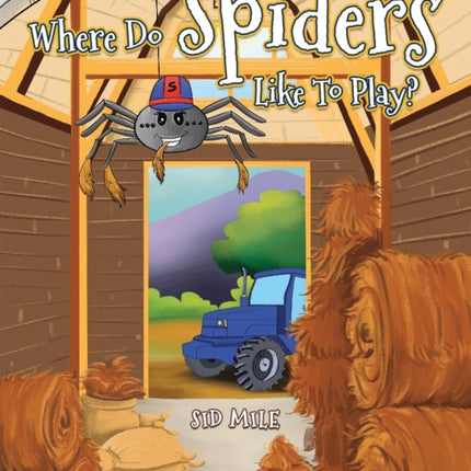 Where Do Spiders Like To Play