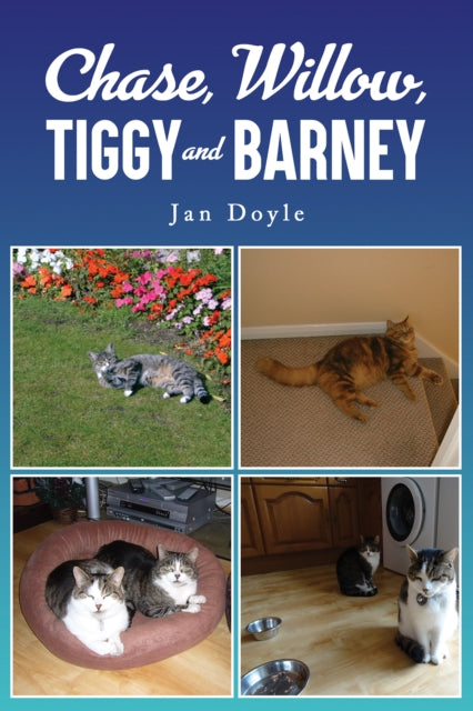 Chase Willow Tiggy and Barney