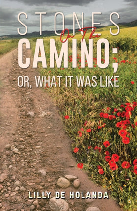 Stones on the Camino or What It Was Like