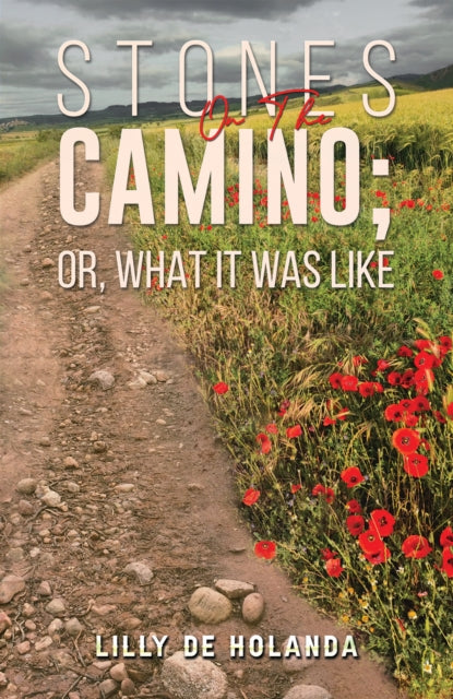 Stones on the Camino or What It Was Like