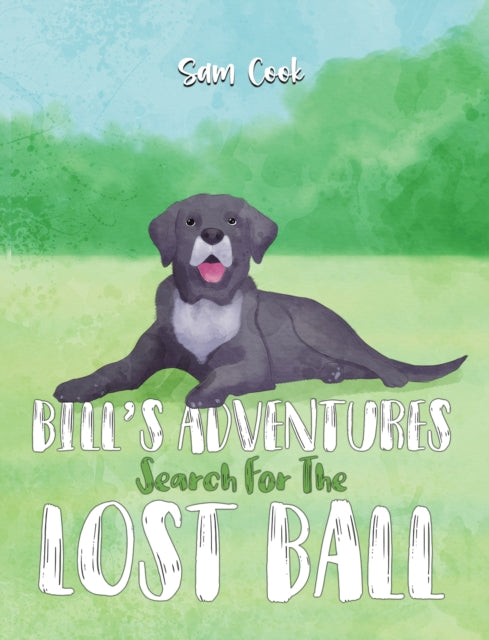 Bills Adventures