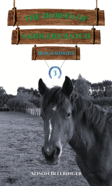 The Horses of Saddlers Ranch Black Knight