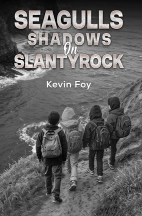 Seagulls Shadows on Slantyrock