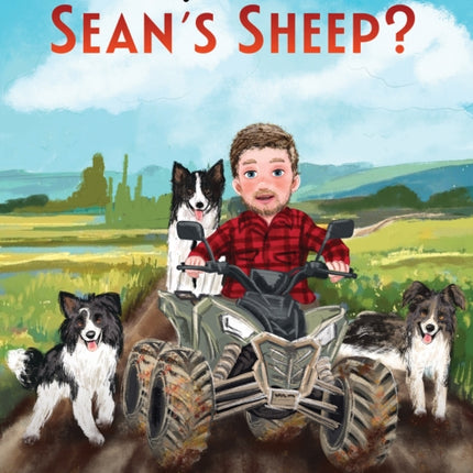Where are Seans Sheep