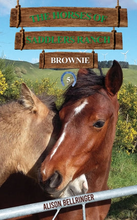 The Horses of Saddlers Ranch Brownie