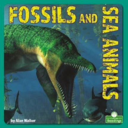 Fossils and Sea Animals