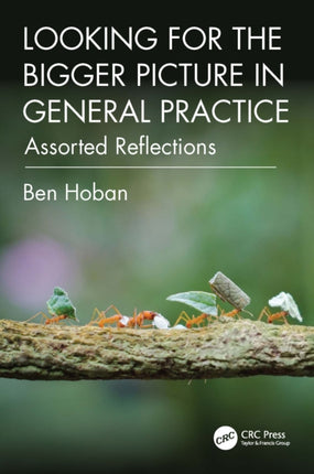 Looking for the Bigger Picture in General Practice
