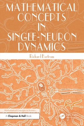 Mathematical Concepts in SingleNeuron Dynamics