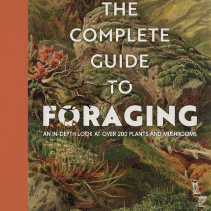 The Complete Guide To Foraging