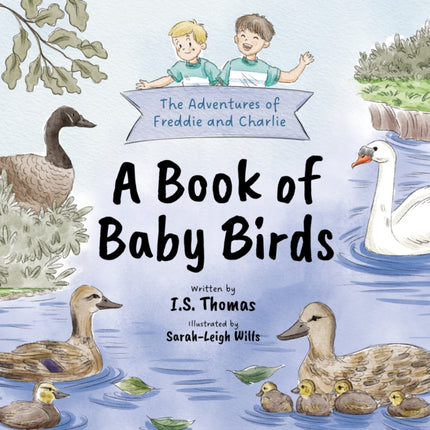 A Book of Baby Birds