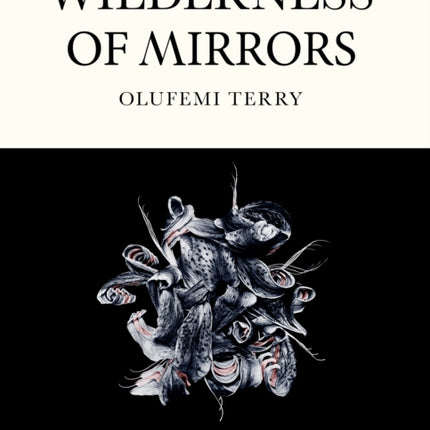 Wilderness of Mirrors