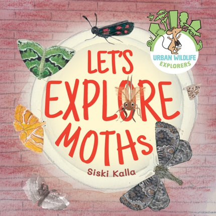 Lets Explore Moths