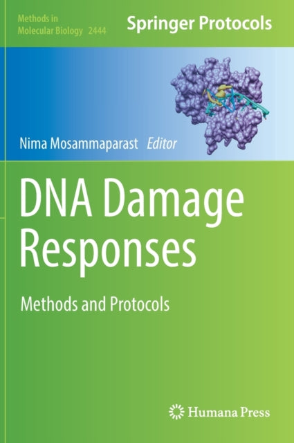 DNA Damage Responses: Methods and Protocols