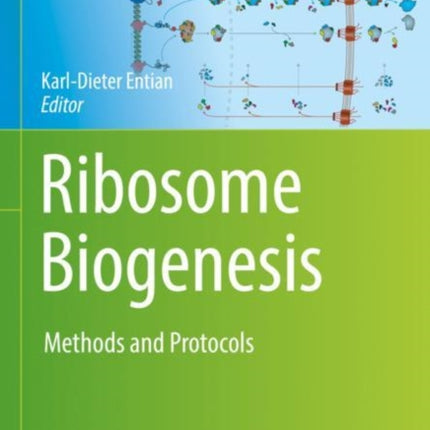 Ribosome Biogenesis