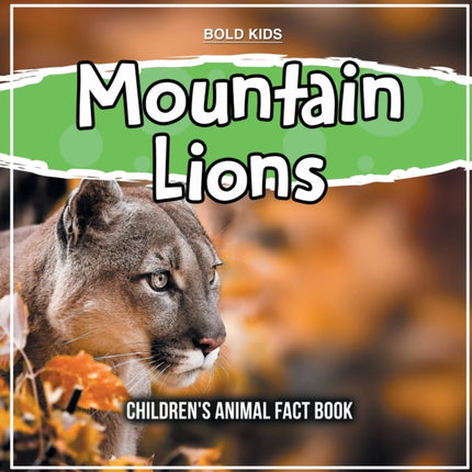 Mountain Lions