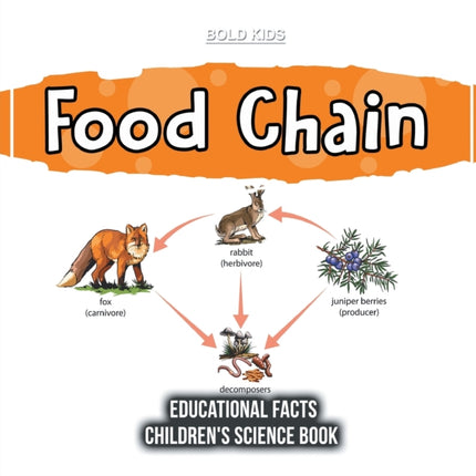 Food Chain Educational Facts Childrens Science Book