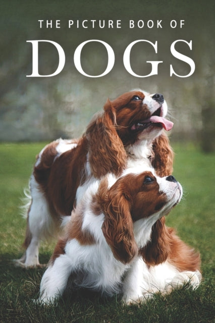 The Picture Book of Dogs A Gift Book for Alzheimers Patients and Seniors with Dementia 8 Picture Books