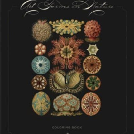 Ernst Haeckel Art Forms in Nature Coloring Book