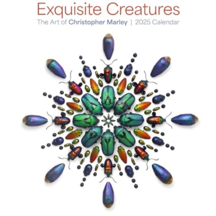 Exquisite Creatures