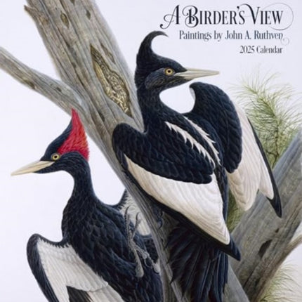 A Birders View