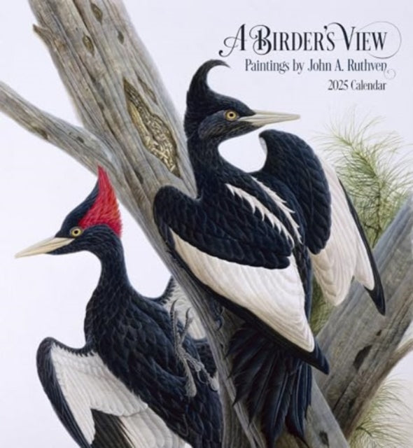 A Birders View