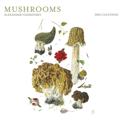 Mushrooms Alexander Viazmensky 2026 Wall Calendar