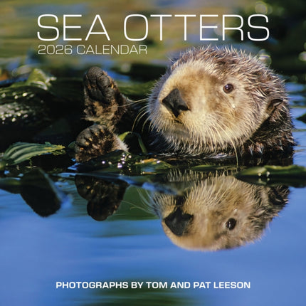 Sea Otters Photographs by Tom and Pat Leeson 2026 Wall Calendar
