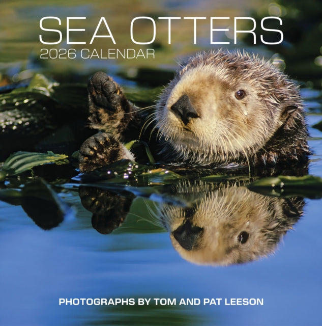 Sea Otters Photographs by Tom and Pat Leeson 2026 Wall Calendar