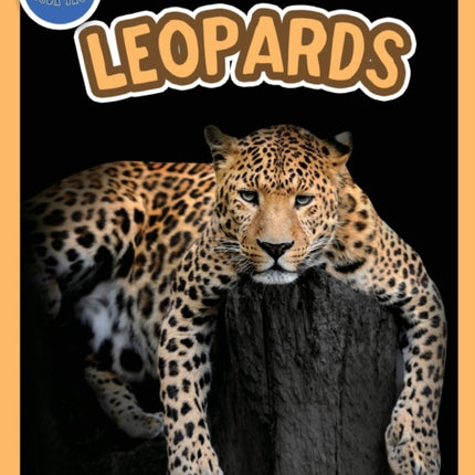 The Amazing World of Leopards Booklet with Activities ages 48