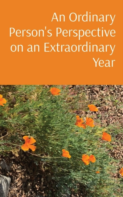 An Ordinary Person's Perspective on an Extraordinary Year