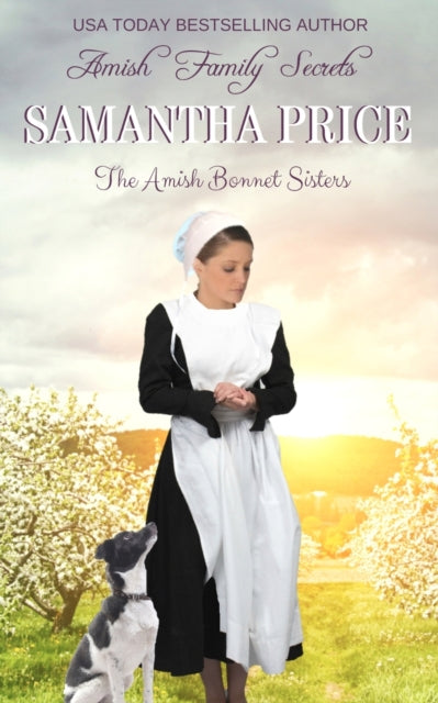 Amish Family Secrets: Amish Romance