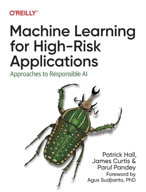 Machine Learning for High-Risk Applications: Approaches to Responsible AI