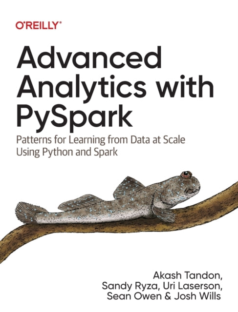 Advanced Analytics with PySpark: Patterns for Learning from Data at Scale Using Python and Spark