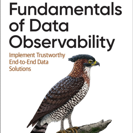 Fundamentals of Data Observability: Implement Trustworthy End-To-End Data Solutions