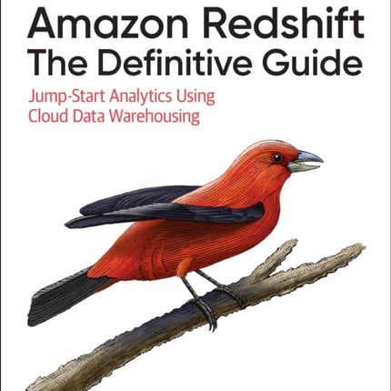 Amazon Redshift: The Definitive Guide: Jump-Start Analytics Using Cloud Data Warehousing