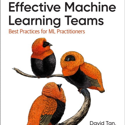 Effective Machine Learning Teams