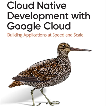 Programming Cloud Native Applications with Google Cloud: Building Applications for Innovation and Scale