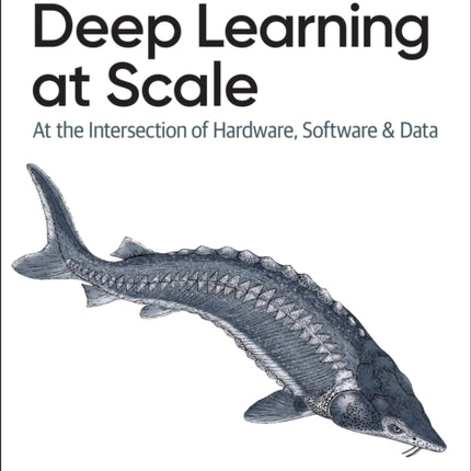 Deep Learning at Scale