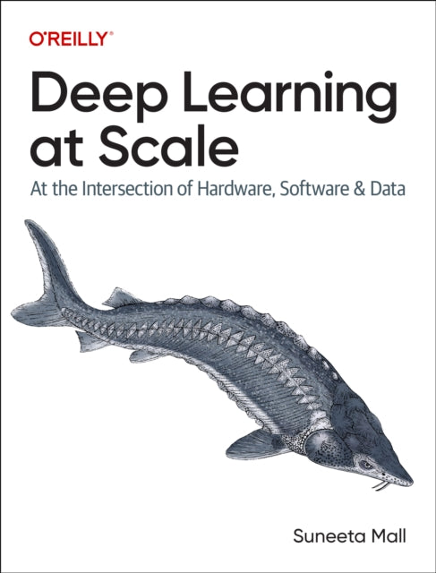 Deep Learning at Scale