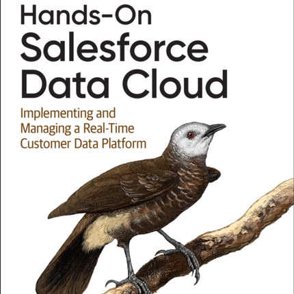 HandsOn Salesforce Data Cloud