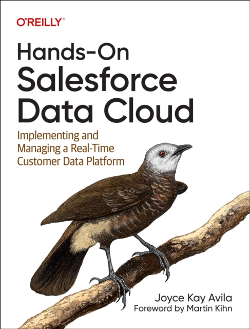 HandsOn Salesforce Data Cloud