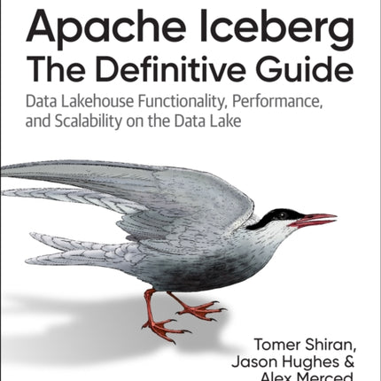 Apache Iceberg  The Definitive Guide