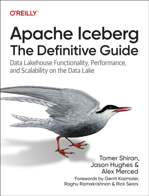 Apache Iceberg  The Definitive Guide