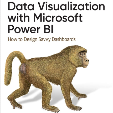 Data Visualization with Microsoft Power Bi